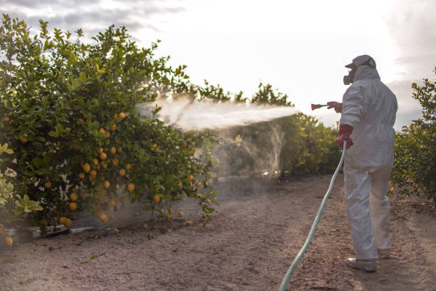 Pest Control Cost in Kingman, AZ